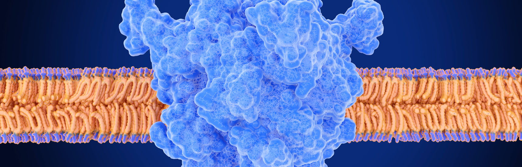 The transient receptor potential channel TRPM7